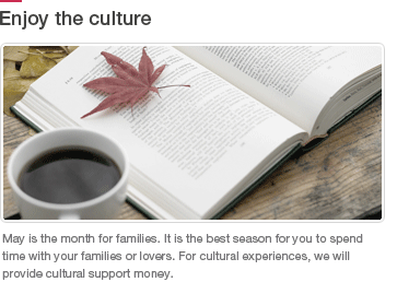 Enjoy the culture
