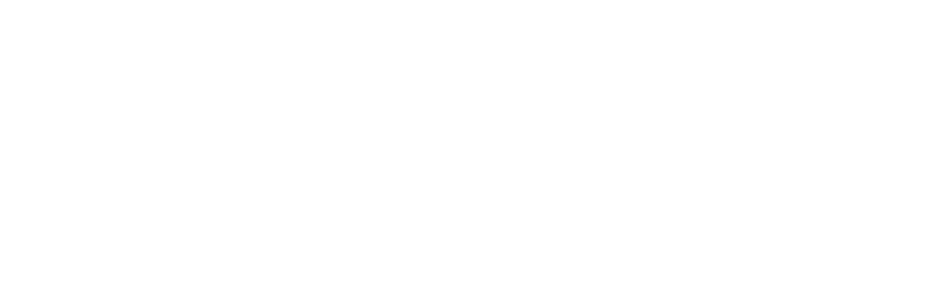 CONSULTIVG & FOREIGN TRADE 피닉스다트는 컨설팅 기반 국내외 마케팅 시행, 새로운 레저 스포츠문화를 선도하는 종합 엔터테인먼트 기업입니다.